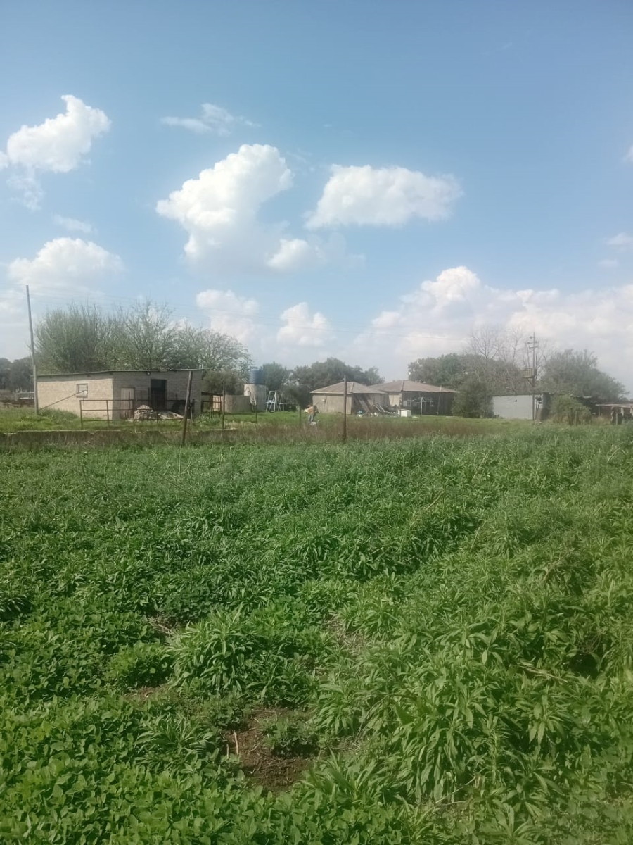 0 Bedroom Property for Sale in Koppies Rural Free State